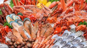 تحديثات سوق العبور.. تغير مفاجئ في أسعار البلطي والأسماك خلال تعاملات الأربعاء